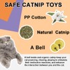 Catnip Toys, Cat Catnip Toys for Cats, Catnip Filled Cartoon