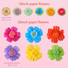 Acidea Large Colorful Tissue Paper Flowers, 20" Handcrafted Giant Fiesta Paper Flowers for Mexican Carnival Party, 12Pcs for Floral Party Backdrop Wedding Birthday Party Crafts