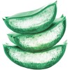 Garnier Fructis Pure Clean Shampoo, Paraben-Free Silicone-Free with Aloe Extract