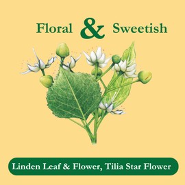 Tadin Tila (Linden) Medicinal Teas 6 / 24 bag