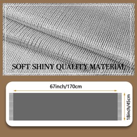 WHYCNJL 1 Piece Stole for Evening Dress Women Elegant Scarf Wrap Scarves with Fringe for Weddings Parties Bridesmaids Prom End of the Year, silver