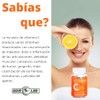 BDM LAB | Vitamina C | Suplemento Alimenticio | 3