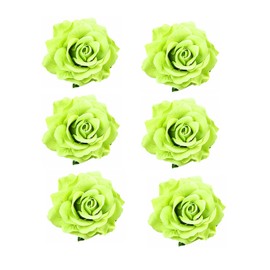 Lofruiin Women's 6Pcs Vintage Elegent Rose Flower Hairpin Hair Clip with Brooch for Party Travel Festivals (Green)