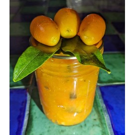 Unbranded Homemade Kumquat-Jalape