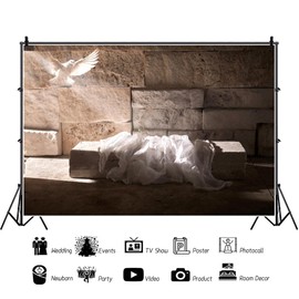 Laeacco 8x6ft Empty Jesus Stone Tomb Backdrop Holy Light Sunshine White Dove Resurrection of Jesus Photography Background Christmas Easter Religious Belief Church Event Banner Photo Booth Props