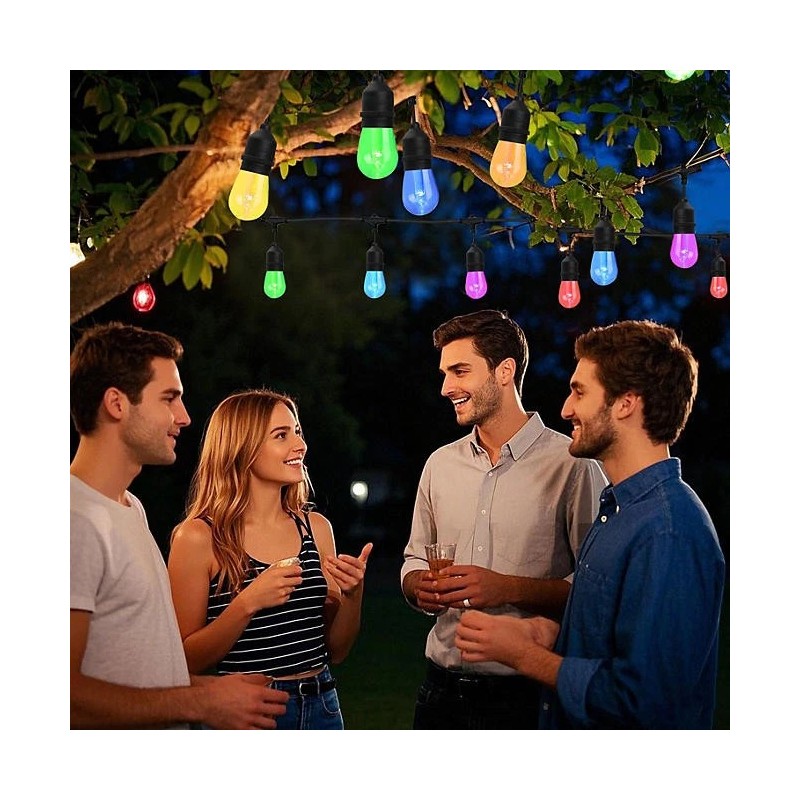 Westinghouse 24 Bulb Color Changing String Light 48 Foot