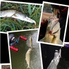 3 Stück Angelköder, Mehrgelenkige Hecht Köder, Angelköder Fische Angeln Set,