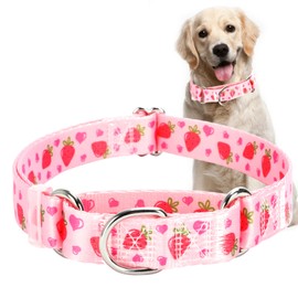 Martingale Dog Collar for Medium Pet Dogs- Pink Strawberry No-Slip Escape Proof Choke No Pull Fruit Dog Collar for Male and Female Dogs Training & Walking M