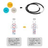 AIDUOMEI Anti-Static Collar, Magnetic Necklace, Stainless Steel, Fashion, Silica Gel
