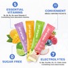 Venture Pal Sugar Free Electrolyte Powder Packets - Liquid Daily