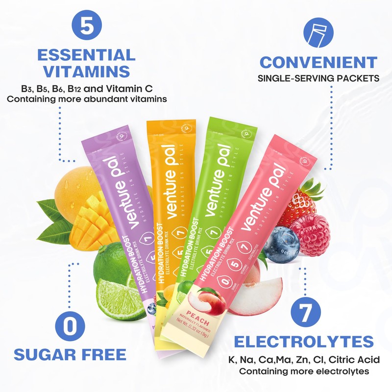 Venture Pal Sugar Free Electrolyte Powder Packets - Liquid Daily