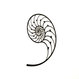 Colorfull Worlds Golden Ratio Metal Wall Art, Fibonacci Spiral Wall Decor, Nautilus Art Home and Office Decor Gift for New Year, Christmas or Housewarming (18,5" x 13,8" | Black)