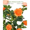 38 inch 2 Pack Artificial Orange Camellia Trees in Pot