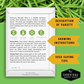 Kentucky Wonder Pole Bean Seed for Planting - 1 Packet with Instructions to Plant and Grow Green Snap Beans in Your Home Vegetable Garden - Non-GMO Heirloom Variety - Survival Garden Seeds