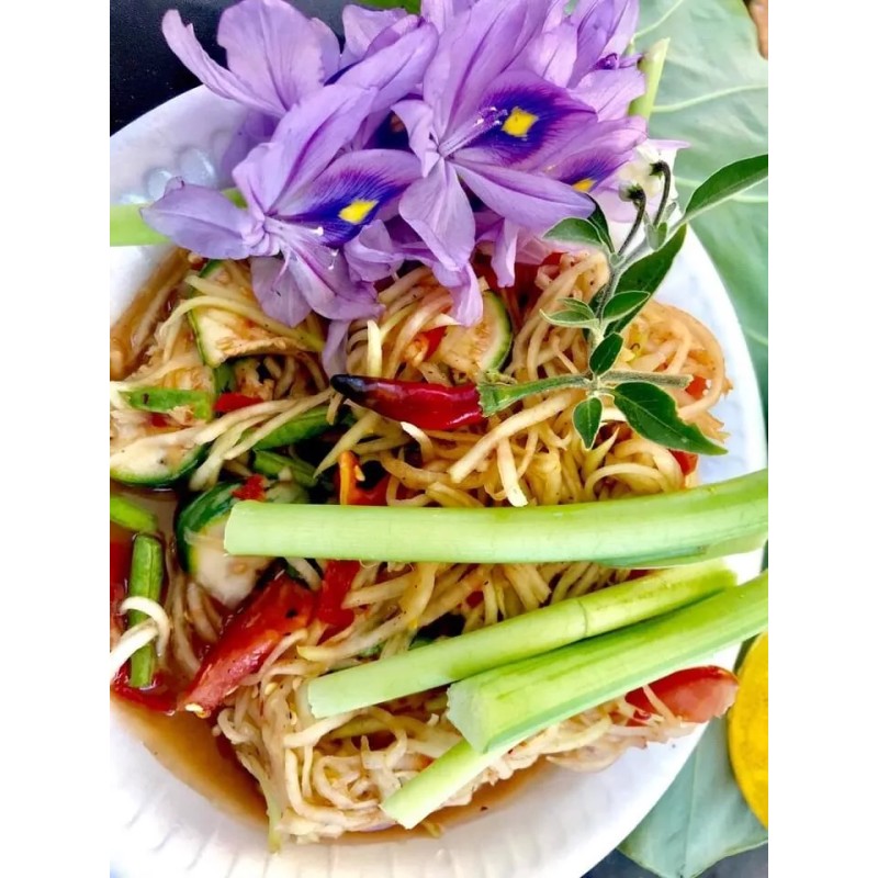 Homemafe Papaya Salad Sauce (Tik Bok Lahong) 2 Jars 19