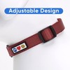 Pawtitas Solid Collar S Marsala Solid Puppy Collar Pet Collar