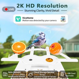 Smart Bird Feeder with Camera for Outside, 2K Ai Camera Feeder Wireless Outdoor, Bird House with Solar Powered Video Live Auto Capture, Watching Gifts for Birds Lovers