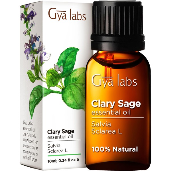 Gya Labs Clary Sage Essential Oil for Diffuser - 100% Natural Clary Sage Oil Essential Oil - Clary Sage Essential Oil for Skin, Hair, & Aromatherapy (0.34 fl oz)