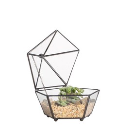 NCYP Small Glass Geometric Terrarium, Closed Jewel-Boxed Shape Container, Plant Succulent Planter Box, Indoor Outdoor Garden Decor Flower Pot Handmade (No Plants, Terrarium Only)