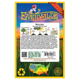 Everwilde Farms - 15 Wild Leek Native Wildflower Seeds - Gold Vault Jumbo Seed Packet