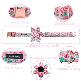 Maca Bates Flower Valentine’s Day Sweet Heart Dog Collar with Flowers for Dogs Adjustable Breakaway Red Collars Accessories Gift for Small Medium Large XL Puppy with Golden Metal Buckle