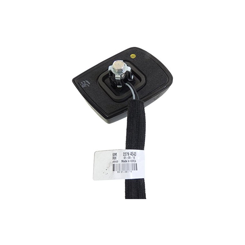 GM 22794643 LAMP ASM-RF CLER OTRAMBER