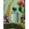 Rain Jungle Night Fabric Perfume / 레인정글나잇 패브릭 퍼퓸