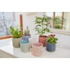 Bloomingville Ceramic Flower Pot Dot - colorful Planter, Pot for