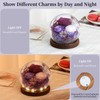 Emibele Gifts for Mom Flowers for Delivery, Birthday Gifts for