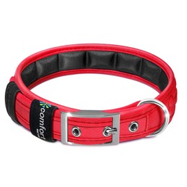 Comfort Fit Soft Padded Dog Collar with Adjustable Buckle - Lightweight, Breathable Dog Training Collar with Customizable Fit - Durable Heavy Duty Dog Collar - Red, S, Neck 12-14"