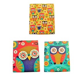Pink Light Design 3 Folder Set ~ What a Hoot! (Owls and Flowers on Blue, Yellow, and Pink)