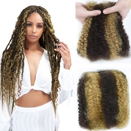 Afro Kinkys Bulk Human Hair for Dreadlocks Kinky Curly Human Hair for Locs Extensions & Crochet 100% Real Human Hair for Marley Twist Braiding Hair 50 Gram 14 Inch #p4/27 Ombre Brown
