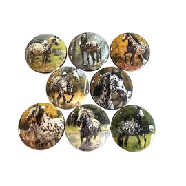 Twisted R Design Cabinet Knobs, Knobs for Kitchen Cabinets and Drawers, Matching Cabinet Knobs and Pulls, 1.5" Round Dresser Knobs Nature Animals, (Appaloosa Horse)