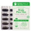 Phosphatidylserine Brain Memory Cognition 4 / 포스파디딜세린 두뇌 기억력 인지력