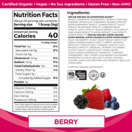 Orgain Orgain Organic Vegan Protein Powder (Peanut Butter) and Orgain Organic Greens Powder (Berry) - Plant Based Protein and Superfoods