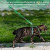 Cat Harness and Leash Set with Matching Collar – Escape