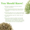 Soilmount 100% Natural Leaf of Arborvitae,Thuja Leaf Wild Harvested,(Green leaf