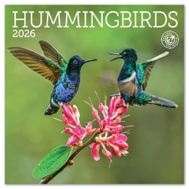 Hummingbirds Mini Wall Calendar 2026 7" x 7"