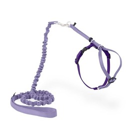 PetSafe Come with Me - Arnés de Gatito y Correa elástica, arnés para Gatos, Morado/Morado Brillante., Mediano