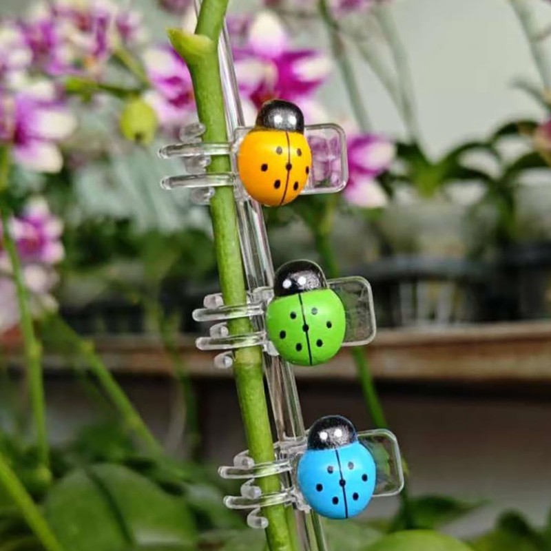 XVYLFZNP 62pcs Orchid Clips Colorful Butterfly Plant Clips Ladybug Orchid