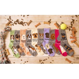 Foozys Unisex Crew Socks | Canine/Dog Collection | Collie, Multicolor