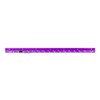 Alumicolor Aluminum Architect Pocket Scale With Clip, 6IN, Purple