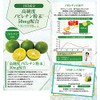 Novilletin Amino Plus, 30 Packets x 1 Box, Okinawa Aloe,