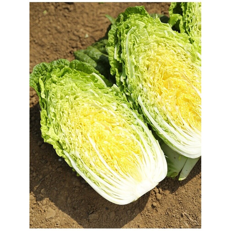 Unbranded 10gram/1200pcs