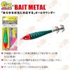 DUEL Easy Squid Fishing Set, ST Easy Squid with 2