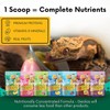 Gargeer 16oz Complete Crested Gecko Food Diet. Premium Ingredients Mix,