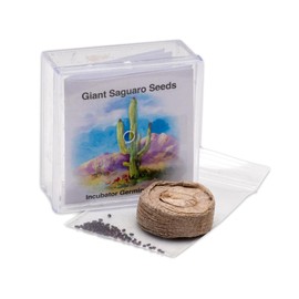 Grow Your Own Saguaro Cactus Incubator Kit (Carnegiea gigantea) – Cactus Seeds – Seed Starter Peat Pellets Pods - Southwestern Gift Idea - Seed Growing