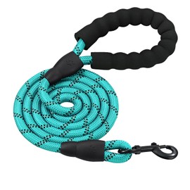 PETESCORT Dog Leashes for Large Medium and Small Dogs,Laisse Pour Chien with Comfortable Padded Handle,Heavy Duty Dog Leads(1/2in x 6Ft,Turquoise and Turquoise(2-Pack))