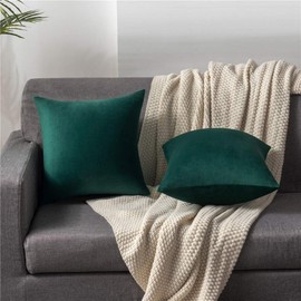 DEZENE Decorative Pillow Covers 22x22 Green: 2 Pack Cozy Soft Velvet Square Throw Pillow Cases for Farmhouse Home Decor
