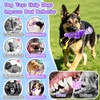 BellaWagg Squeaky Dog Chew Toys for Aggressive Chewers - Tough